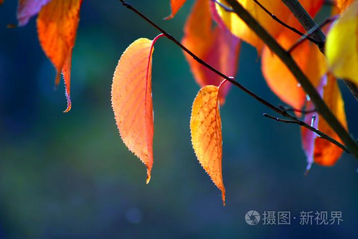 综合亚洲色hezyo国产,午夜福利视频合集1000,国产色情无码网站视频APP