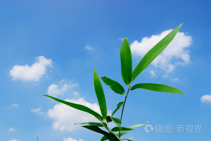 亚洲欧美一区二区久久,黄片免费在线看aaa,俺来俺去视频在线观看